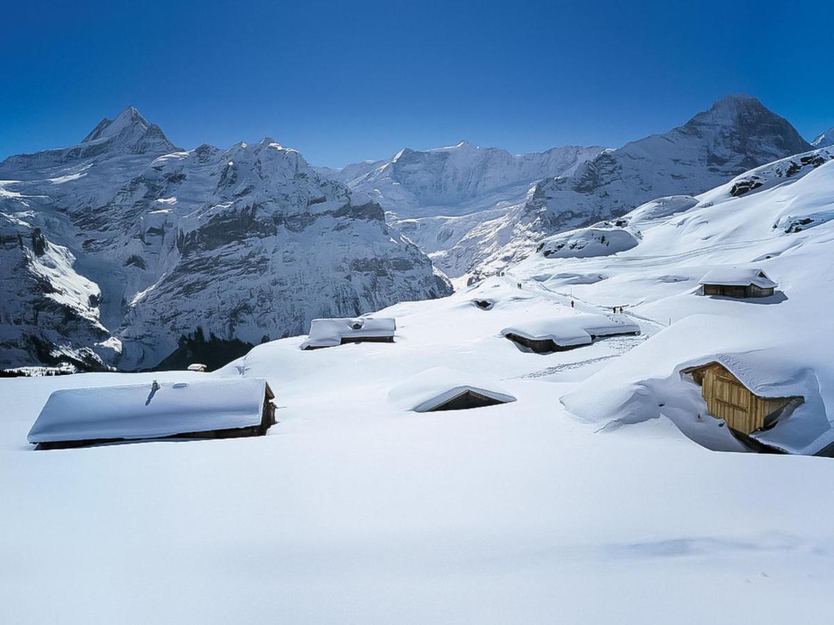 Apartment Chalet Jrene By Interhome Grindelwald Esterno foto